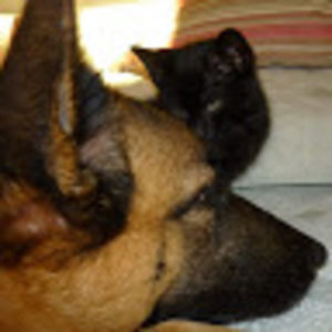 Meet your Posher, Cindy